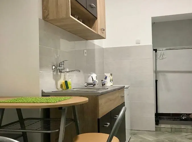 公寓 Zen Apartman 3 兹雷尼亚宁